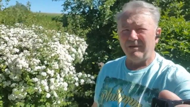 НАС уже 1000 !!! БЛАГОДАРИМ НАШИХ ПОДПИСЧИКОВ! ТопСад смотреть онлайн