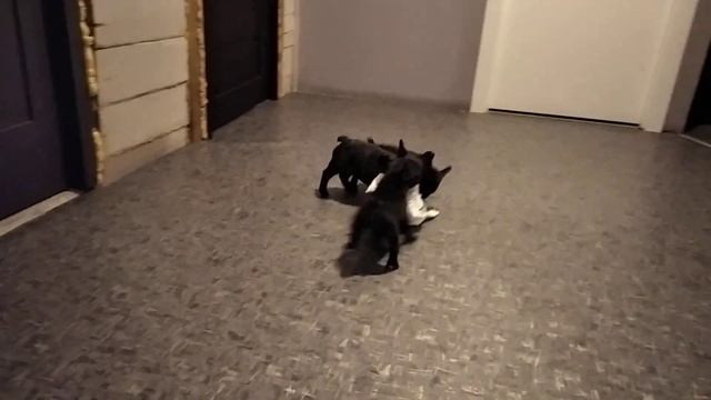ясельная группа смотреть онлайн