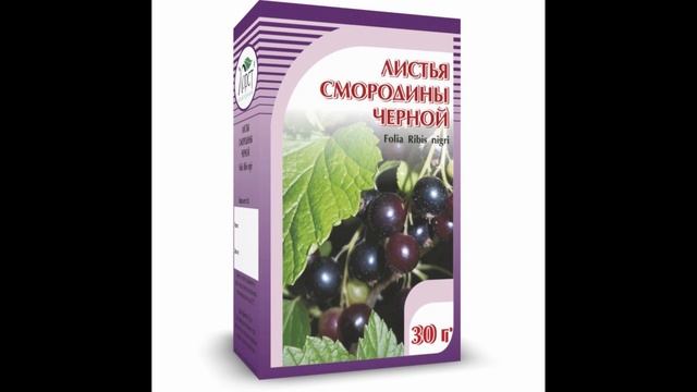 Смородина черная,народное средство