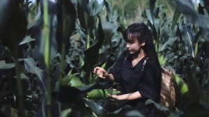 На дровах медленно готовятся кукурузные лепешки, коричневые и коричневые, такие вкусные.