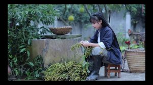 Самое популярное блюдо в вегетарианском мире — Мапо Тофу.