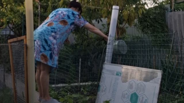 Чайный привет фрау Винс. Огородные дела. Кошачьи нежности. Новая киска в проекте стерилизации. смотреть онлайн
