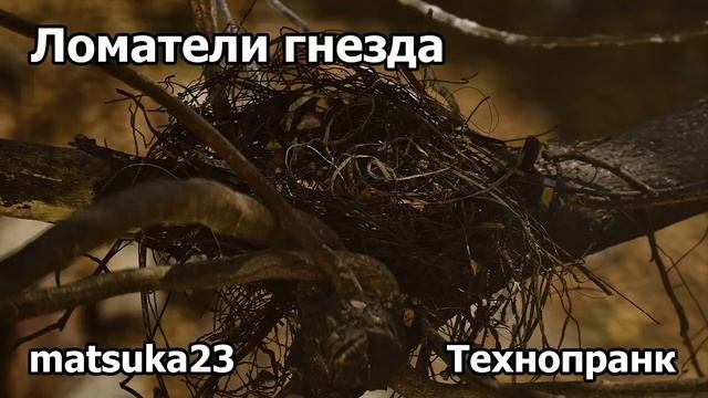 ЛОМАТЕЛИ ГНЕЗДА | Технопранк от Matsuka23
