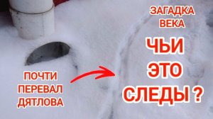 Загадочные следы