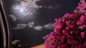 песня обручоный сердца месть до канца ♥️🥰