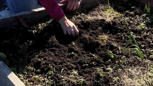 How To Kill Moss In The Garden : Great Gardening Advice