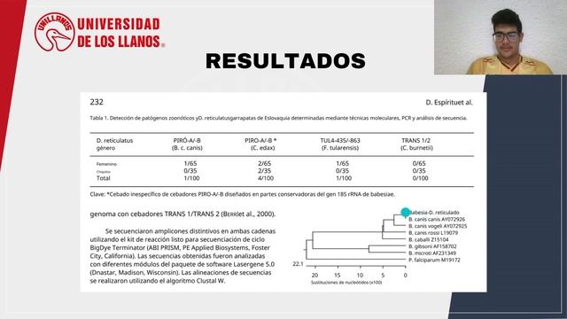 SEMINARIO ARTICULO CIENTIFICO смотреть онлайн