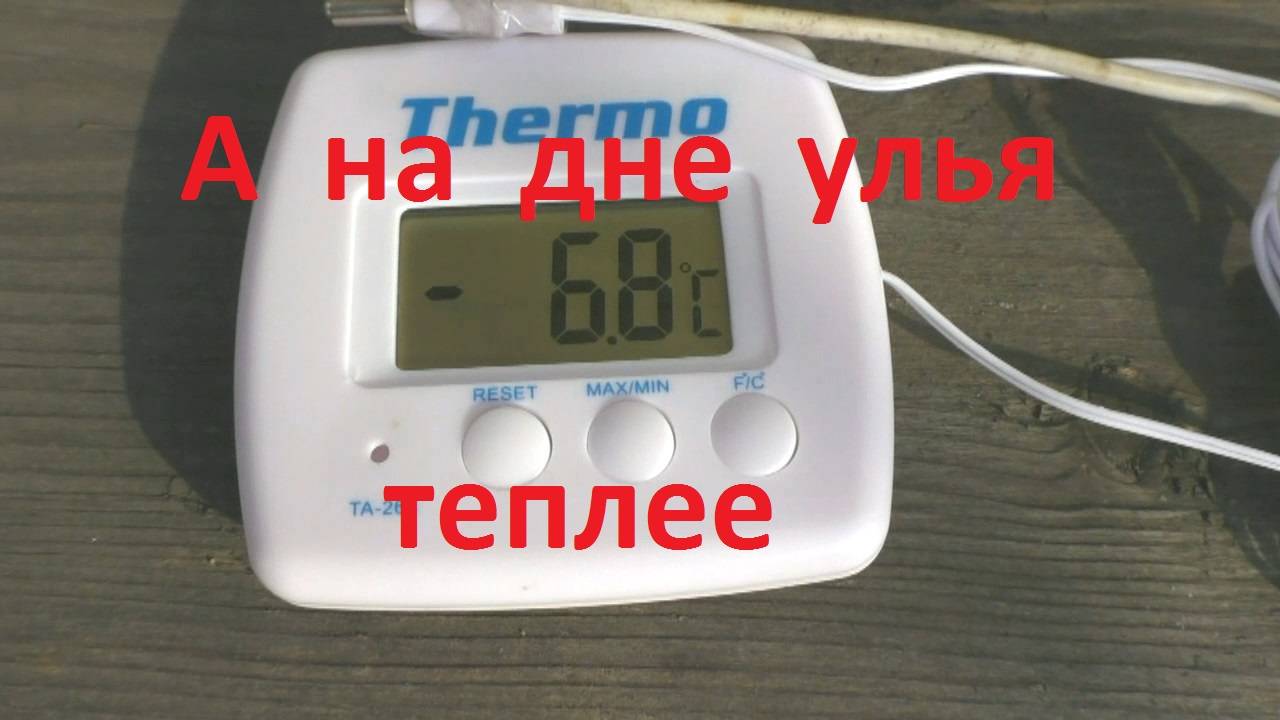 Температура на дне улья при минусе снаружи смотреть онлайн