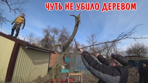 СРОЧНАЯ НОВОСТЬ / ВОССТАНАВЛИВАЮ СГОРЕВШИЙ ДОМ / ДЕРЕВО УПАЛО НЕ ТУДА КУДА НАДО / ПРИЕХАЛИ ДРУЗЬЯ