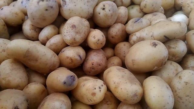 UMA MANHÃ DE DOMINGO COMIGO + INDO PARA A FEIRA | UFA, CASEI смотреть онлайн