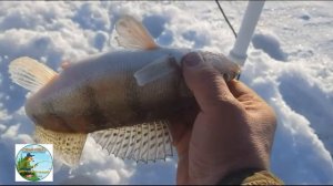 Рыбалка на БЕРША в МАРТЕ!