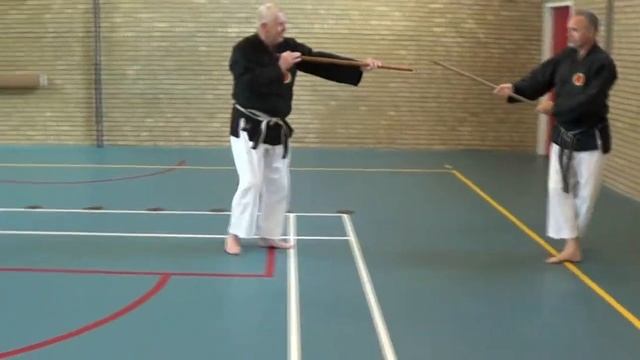 Shinhanbo Jutsu.