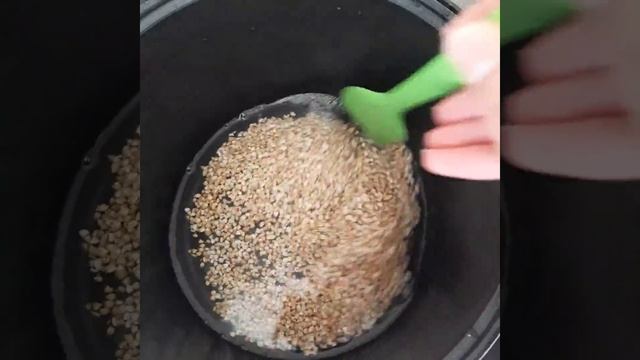 Зеленая Искра