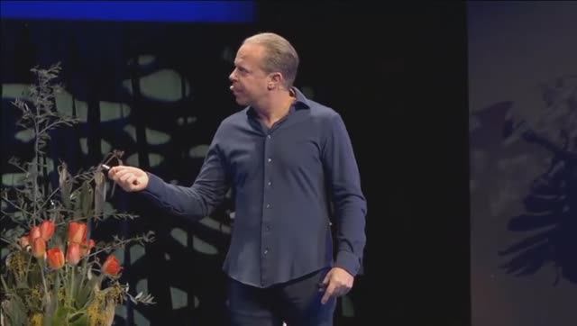 Джо Диспенза / Формула / Бонусы / Бонус 2 - Научное объяснение Формулы 4