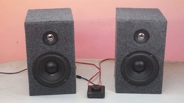 DIY Stereo Passive Speaker Box Sound Test with Class-D Amplifier Board смотреть онлайн