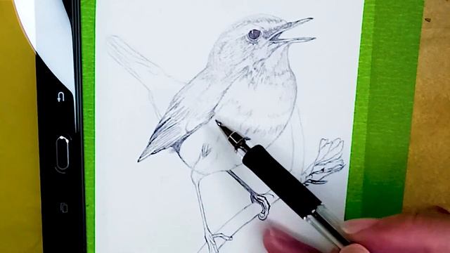 Ballpoint Pen Drawing Tutorial - Speed Realistic Drafting! For Beginners/Stage Learners 💥 Ep. 🍎 19 смотреть онлайн
