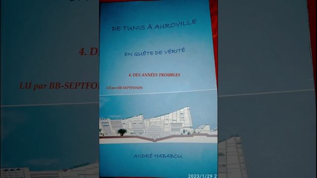 4. DES ANNÉES TROUBLES смотреть онлайн