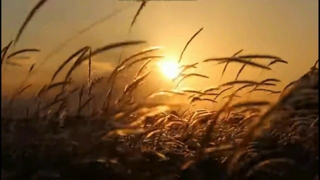 Пусть я жила без времени... Стихи Татьяны Снежиной Музыка и исполнение Владимир Черняев смотреть онлайн