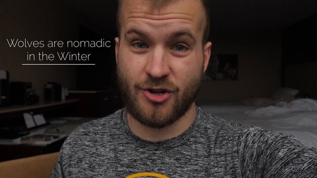 WOLF population and how it AFFECTS Deer and Hunters!! смотреть онлайн