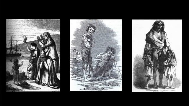 Afri Schools Project : Remembering Celia Griffin 2016 смотреть онлайн