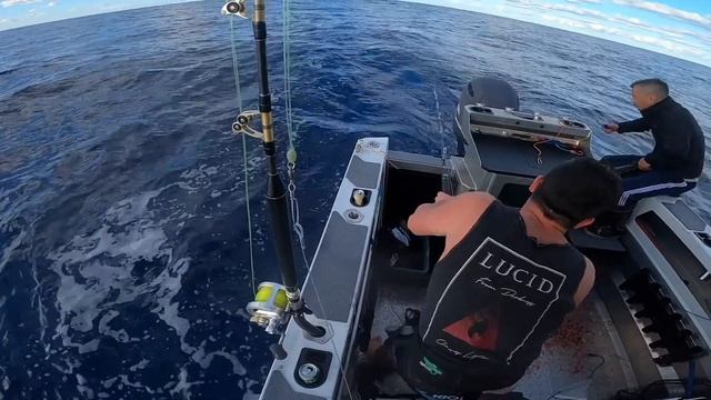 Yellow fin tuna off cape Moreton (7/6/21) смотреть онлайн