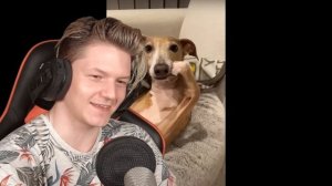 САМЫЕ *НЕОБЫЧНЫЕ* МЕМЫ
фокснео