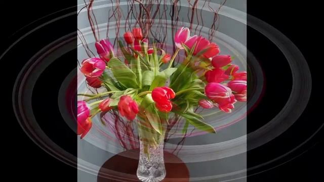 Tulips смотреть онлайн