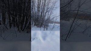 Счастливые люди, (Марий Эл.)