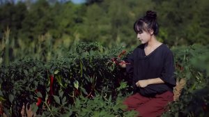 Вкусная, острая, аппетитная Душа сычуаньской кухни — Доубаньцзян