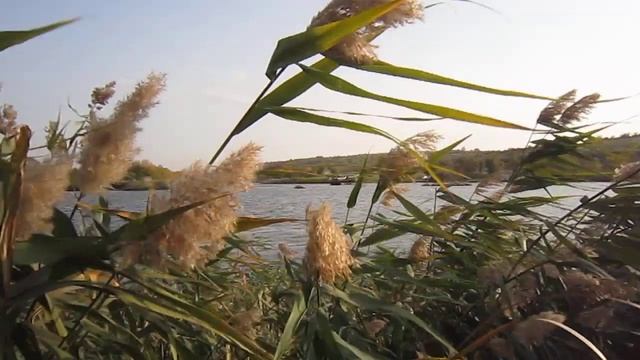 Катя Белова Паромщик смотреть онлайн