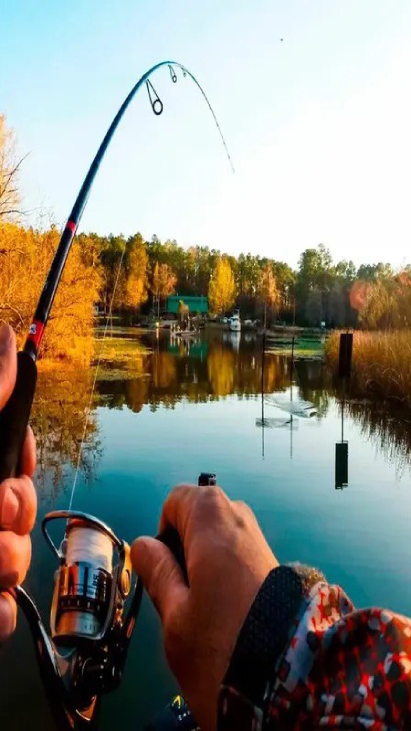 А Ты Ждешь Открытие Сезона Рыбалки ? 
#рыбалка #рыба