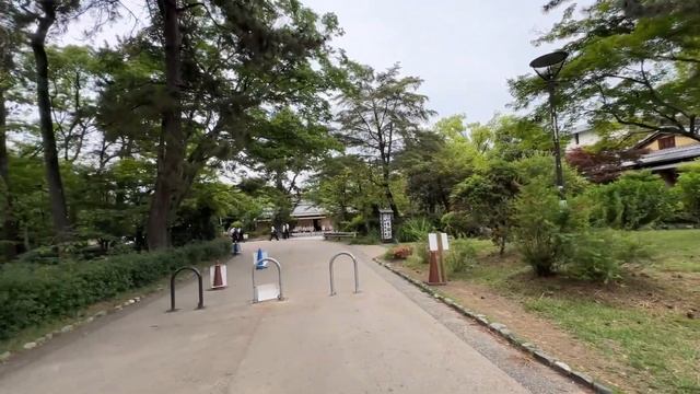 京都 円山公園で猫に癒され、鴨川の納涼床でタイ料理を楽しむ(Cats & Thai food restaurant in Kyoto, Japan) смотреть онлайн