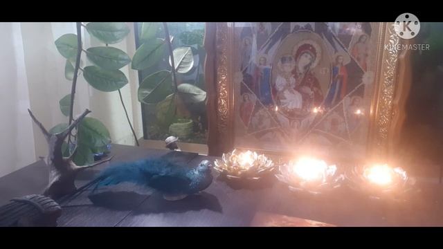 Расклад МОЯ🦉🧚♀️ ГЛУБИНА. смотреть онлайн