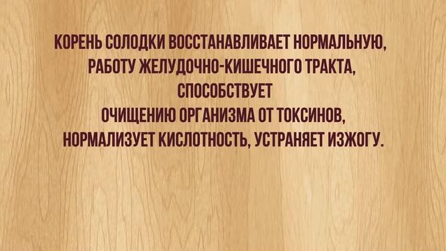 Здоровый желудок смотреть онлайн