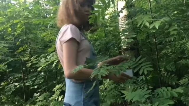 ЛЕС ПРИЗРАКОВ|ВТОРОЙ СЕЗОН|2 серия смотреть онлайн