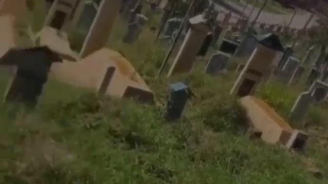 УМАР ХЕХОЕВ 《ХЬЕХАМ》❕