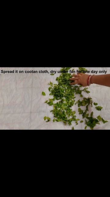 Mint Powder I How To Store Mint Leaves Without Fridge I #Shorts I Neha Ki Pakshala смотреть онлайн
