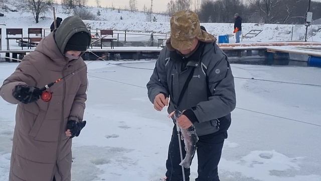 20-02-2025 смотреть онлайн