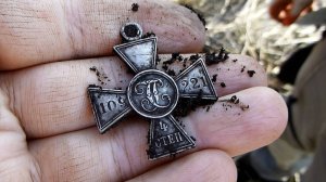 Не поверили своим глазам, а когда поверили, Потеряли дар речи от такой редчайшей находки