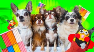 Питомцы слепили НЕЧТО из пластилина 😨