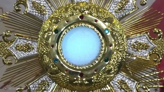 (LIVE) DAY - 30, Jesus Touch Me; The Miracles Of Jesus Online Retreat | Thu | 30 May 2024 | DRCC