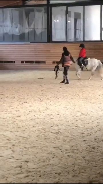 Езда рысью смотреть онлайн