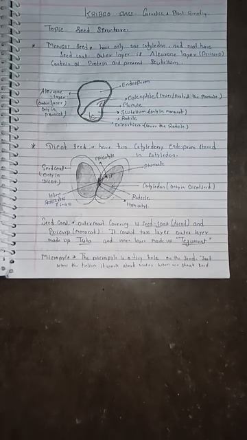 What is Monocots and Dicots Seed. #seeds #soilscience смотреть онлайн