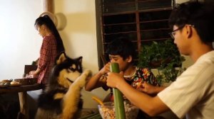 竹筒烧烤：一顿带有竹香的饭，你们吃过吗？【滇西小哥】