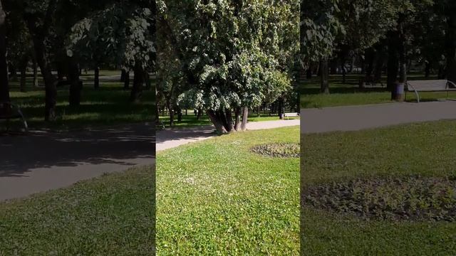 Доброе утро! 13 июня в парке смотреть онлайн