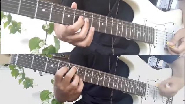 Movements - Daylily Guitar Cover