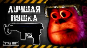 КАКУЮ ПУШКУ ПОКУПАТЬ НОВИЧКУ В СТЕЙ АУТ | ОБЗОР СУПЕР СТВОЛА НОВИЧКА STAY OUT | ОРУЖИЕ ППШ