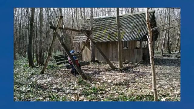 Весна 2024 в об'єктиві Зеновія Савовича Коваля смотреть онлайн