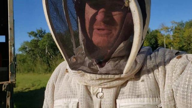 Стан гнізда . Мед чи сироп для зимівлі бджіл. (Состояние гнезда. Мед или сироп для зимовки пчел.) смотреть онлайн