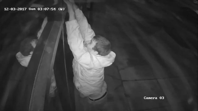 SCO Camera 3 смотреть онлайн